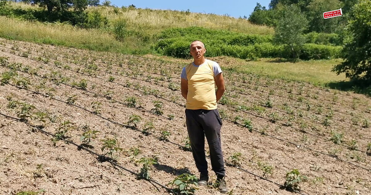 Video Zapis Iz Zasada Malina Željka Jakovljevića | Vreme Je Za Malinu